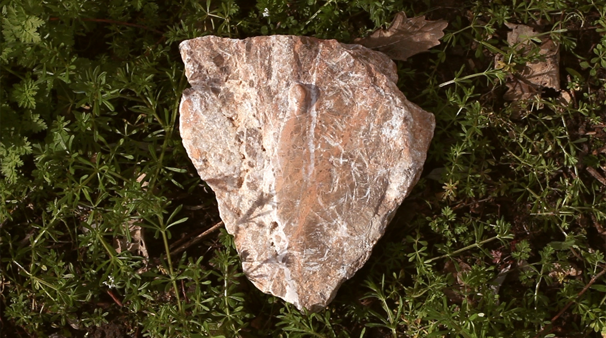 Imprint - Sculptures